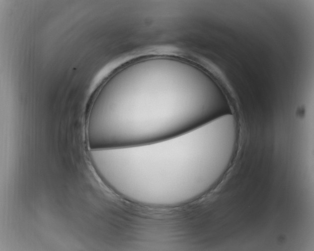 X0000115661176200911120936
