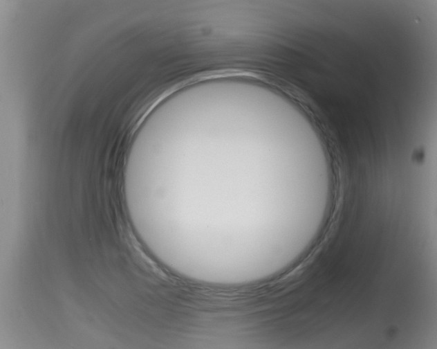 X0000115661177200911120936