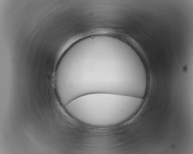 X0000115661178200911120936