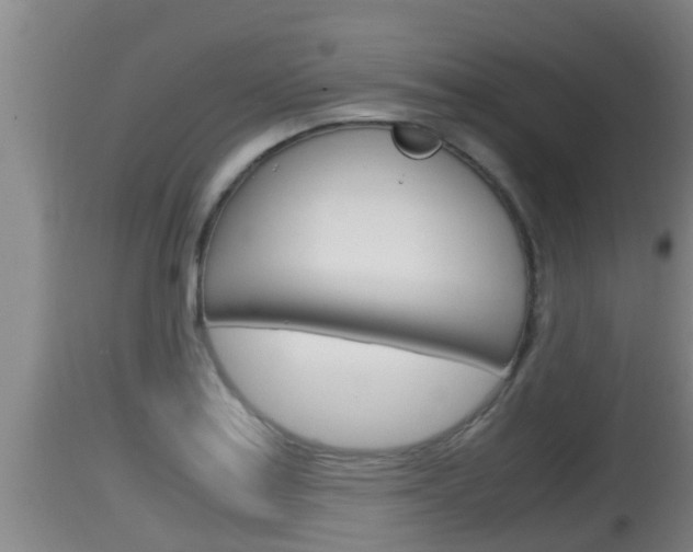 X0000115661179200911120936