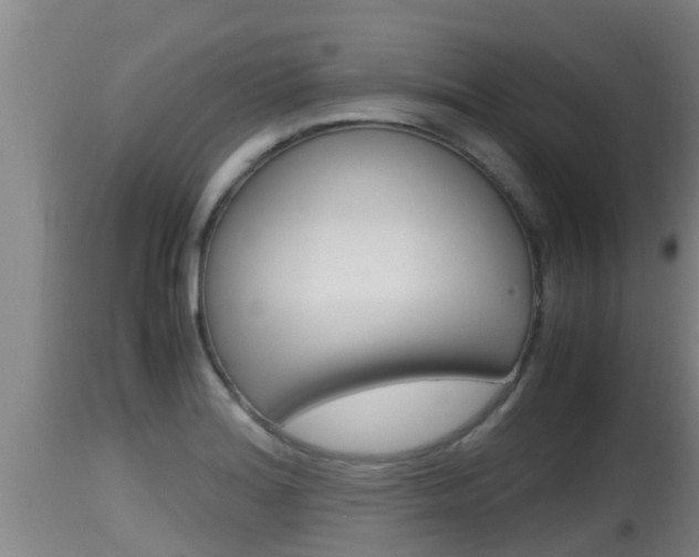 X0000115661180200911120936