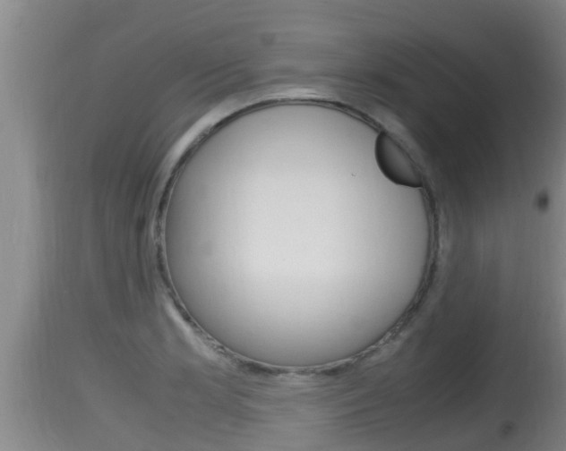 X0000115661181200911120936