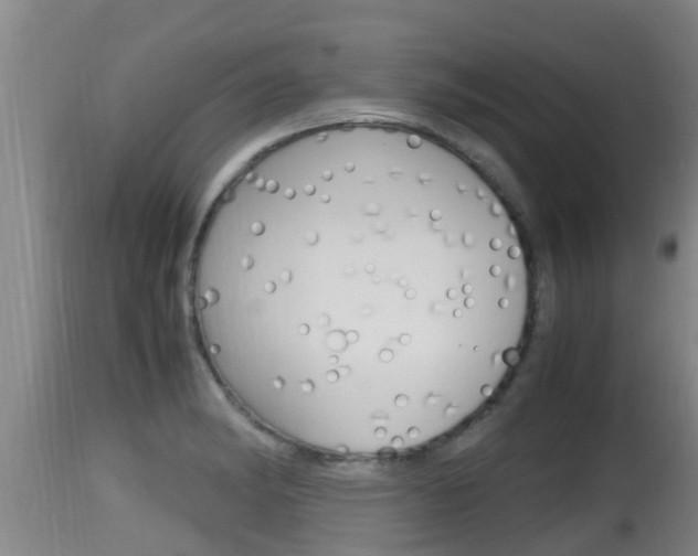 X0000115661182200911120936