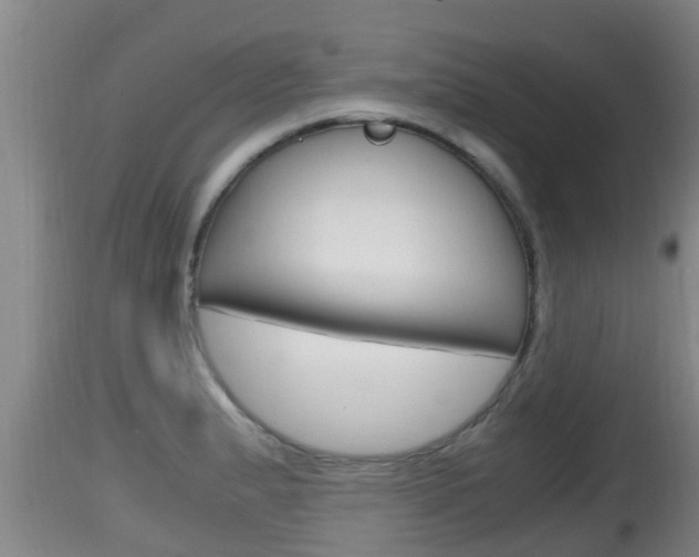 X0000115661183200911120936