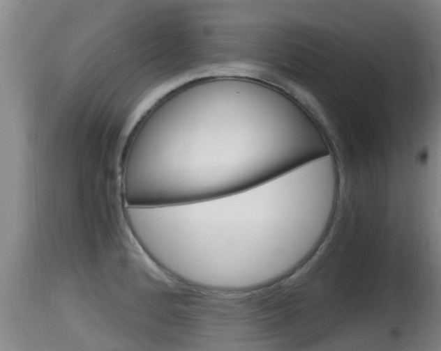 X0000115661184200911120936