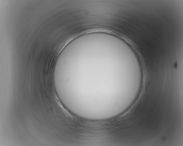 X0000115661185200911120936