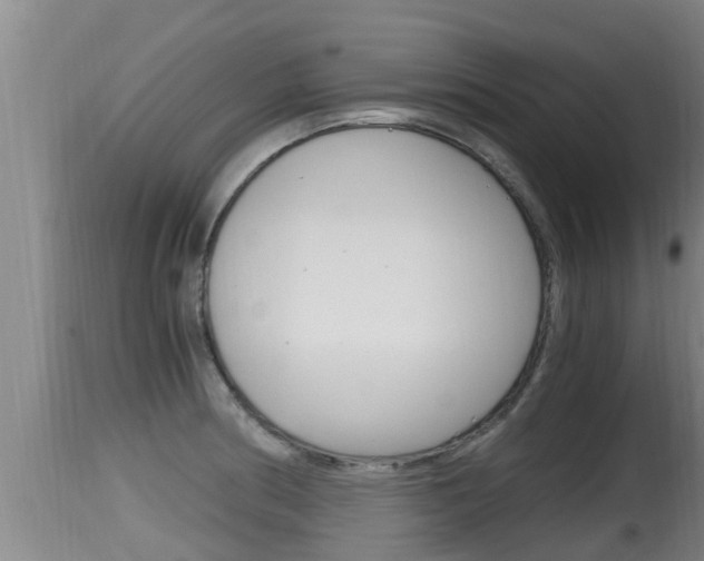 X0000115661186200911120936