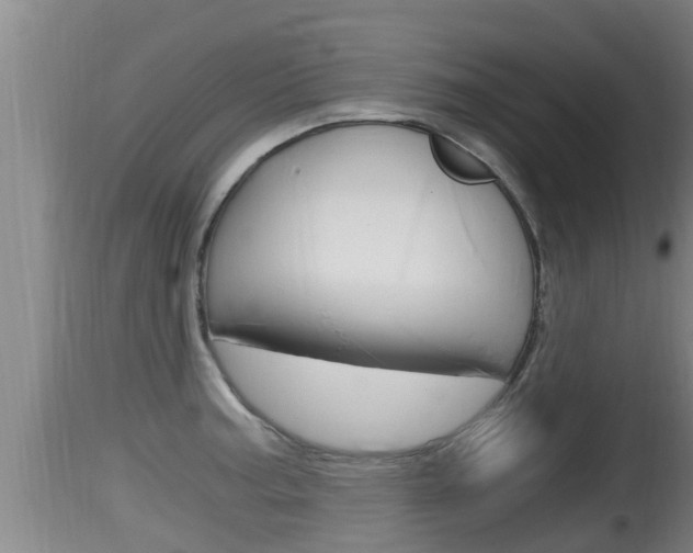 X0000115661187200911120936