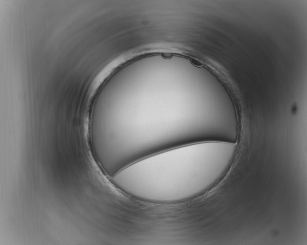 X0000115661188200911120936
