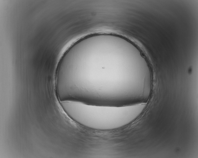 X0000115661191200911120936