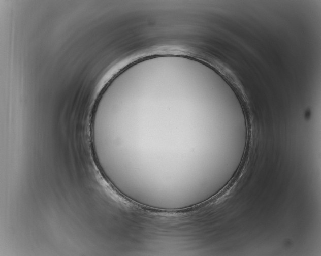 X0000115661192200911120936