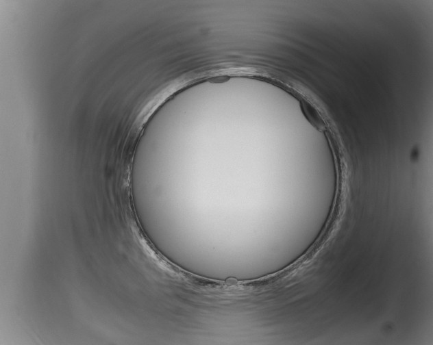 X0000115661193200911120936