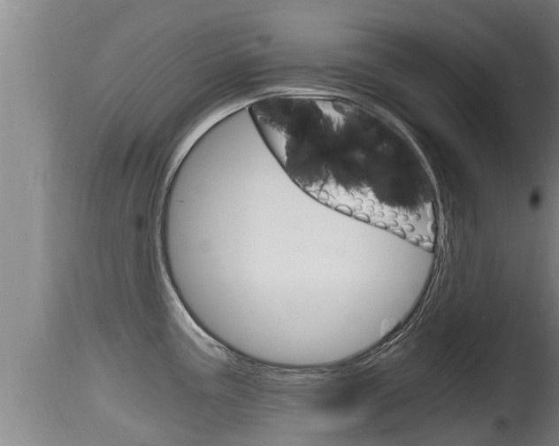 X0000115661195200911120936