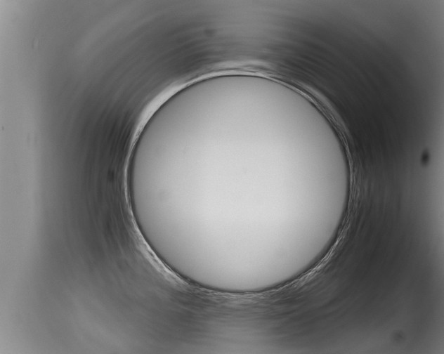 X0000115661196200911120936