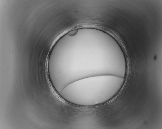 X0000115661198200911120936