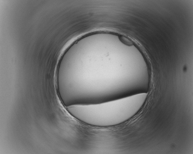 X0000115661199200911120936