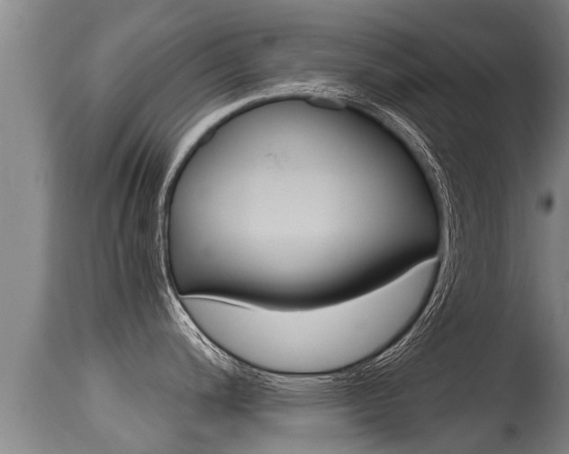 X0000115661200200911120936