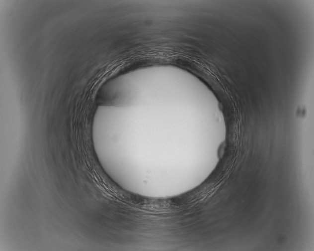 X0000115661201200911120935
