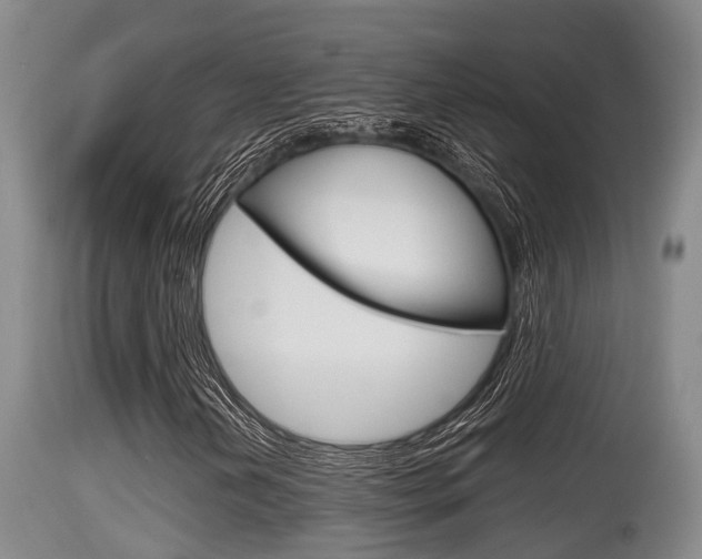 X0000115661202200911120935