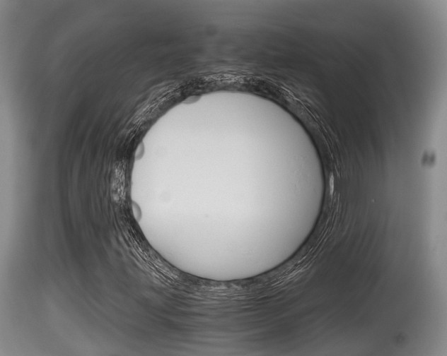 X0000115661203200911120935