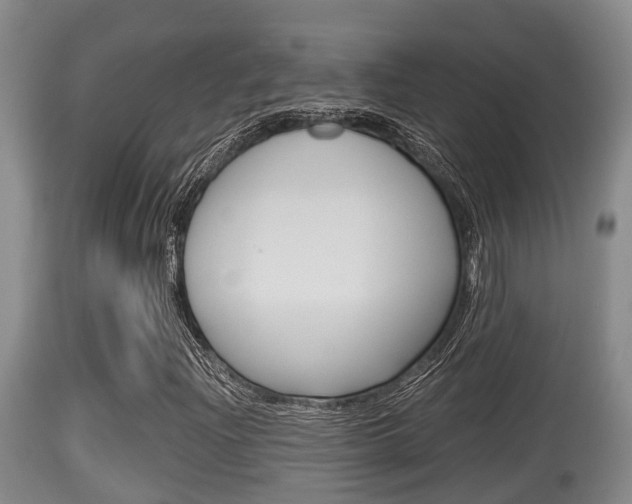 X0000115661204200911120935