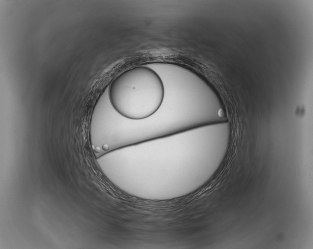 X0000115661205200911120935