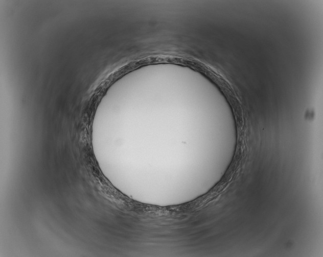 X0000115661207200911120935