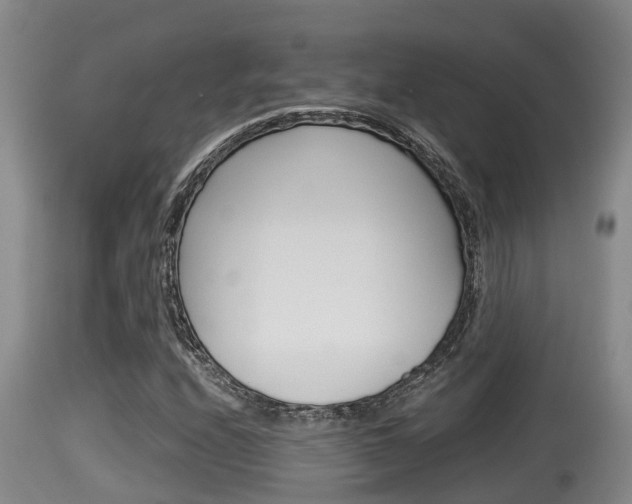 X0000115661208200911120935