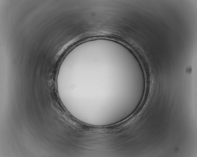 X0000115661210200911120935