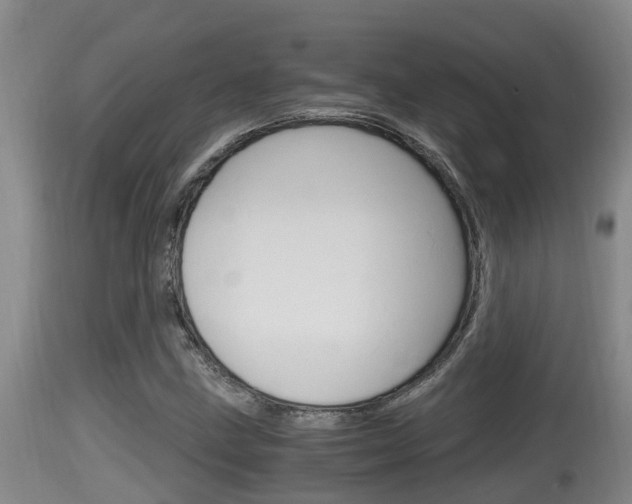 X0000115661211200911120935