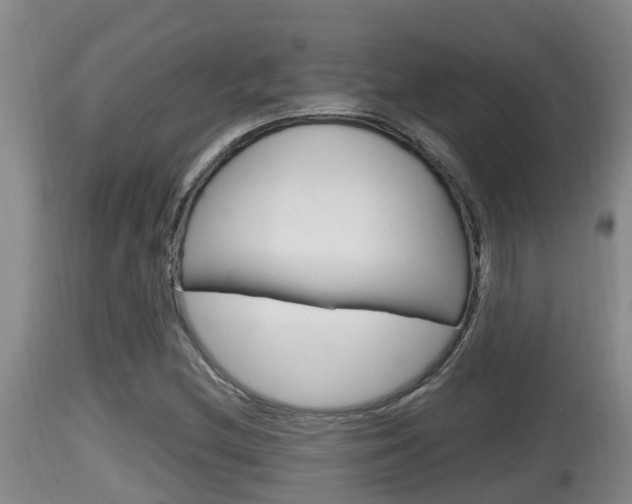 X0000115661212200911120935