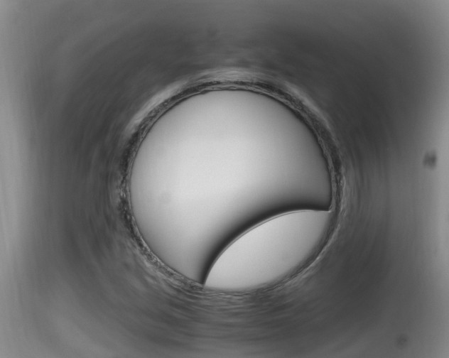 X0000115661213200911120935