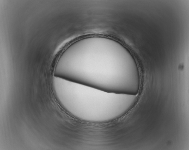 X0000115661214200911120935