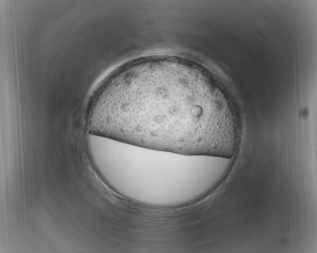 X0000115661216200911120935