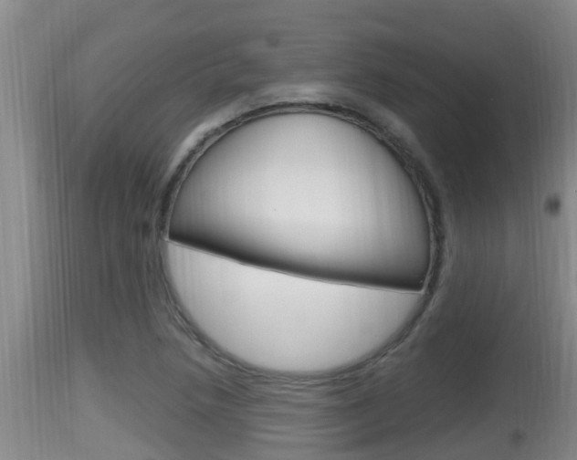 X0000115661218200911120935