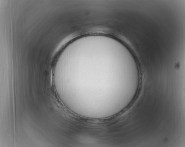 X0000115661219200911120935