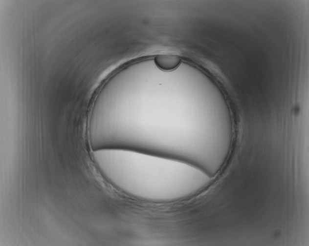 X0000115661220200911120935