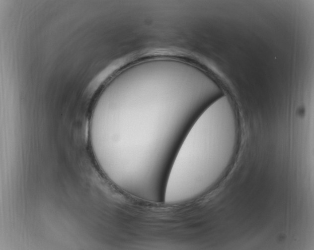 X0000115661221200911120935