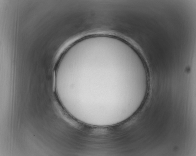 X0000115661223200911120935
