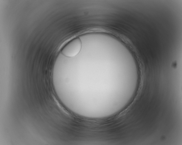 X0000115661225200911120935