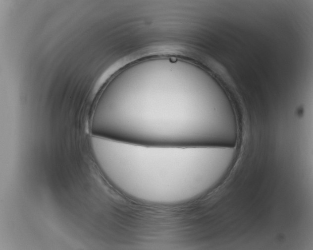 X0000115661226200911120935