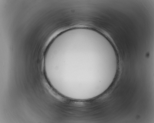 X0000115661227200911120935