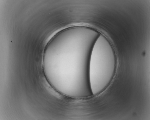 X0000115661228200911120935