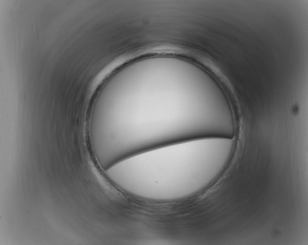X0000115661229200911120935
