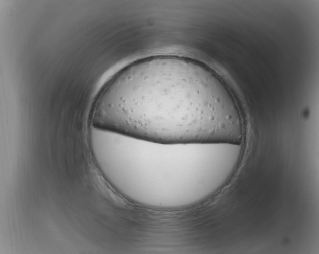 X0000115661230200911120935