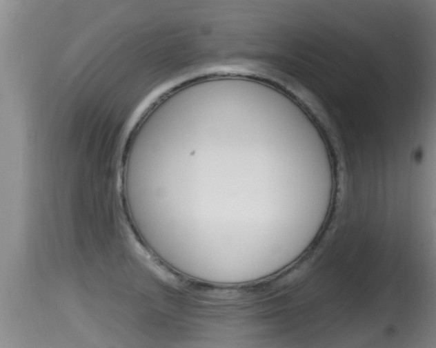 X0000115661232200911120935