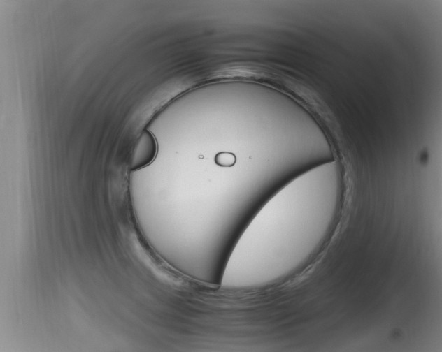 X0000115661233200911120936