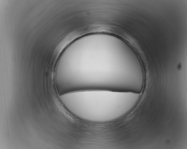 X0000115661234200911120936