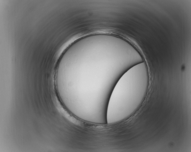 X0000115661235200911120936