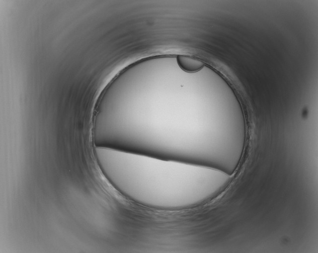 X0000115661236200911120936